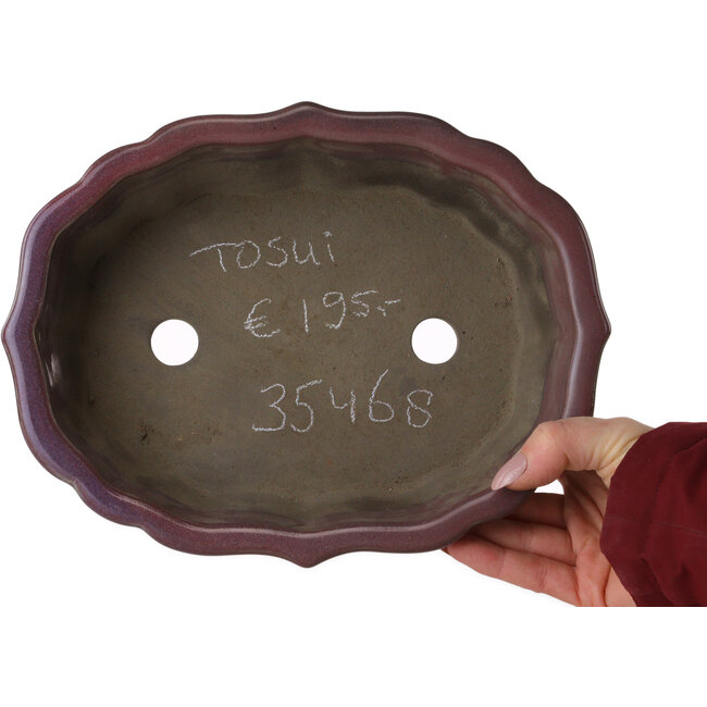 Maceta de bonsái de loto morado de Tosui - 252 x 195 x 73 mm