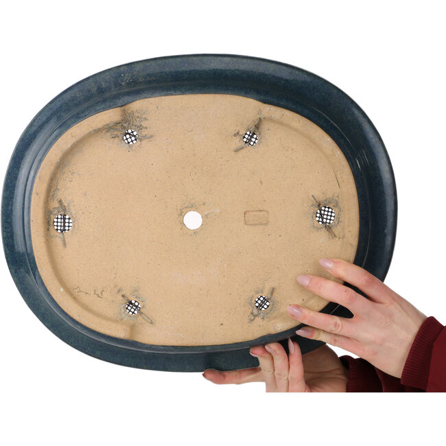 Vaso bonsai ovale blu di Seizan (Reihou, Kataoka Katsushi, forno del maestro Seizan) - 414 x 332 x 98 mm