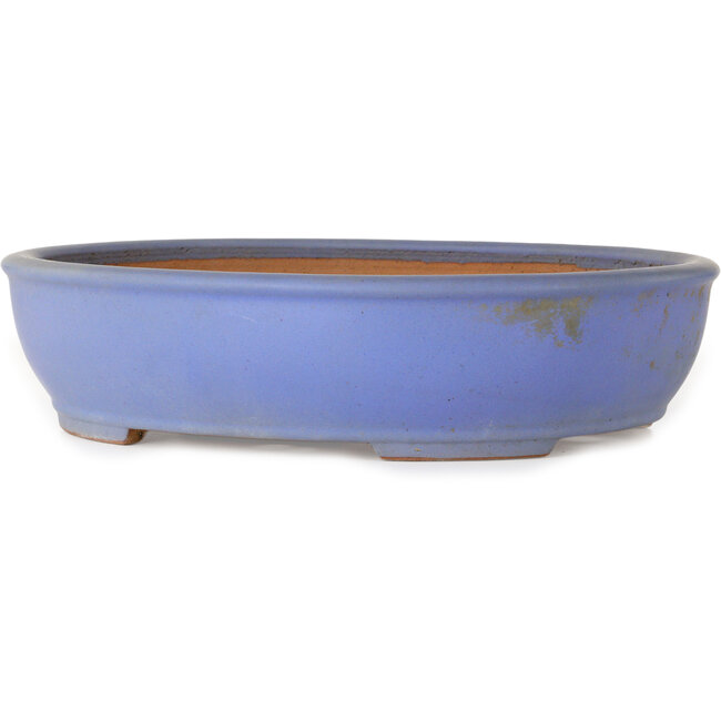 Maceta ovalada azul para bonsái de Ikkou - 370 x 303 x 88 mm