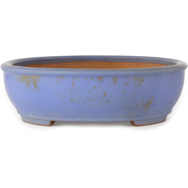Pot ovale bleu pour bonsaï par Ikkou - 370 x 303 x 88 mm