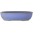 Maceta ovalada azul para bonsái de Ikkou - 370 x 303 x 88 mm