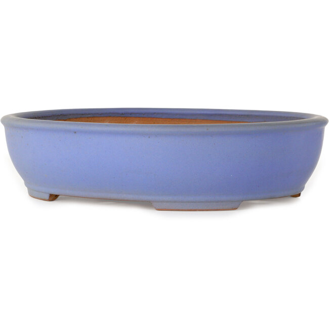 Maceta ovalada azul para bonsái de Ikkou - 370 x 303 x 88 mm