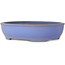 Maceta ovalada azul para bonsái de Ikkou - 370 x 303 x 88 mm