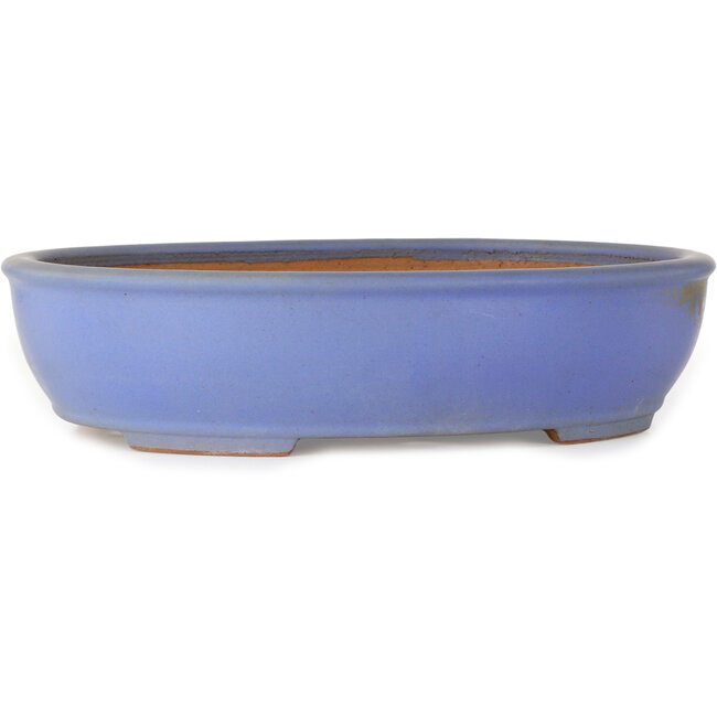 Maceta ovalada azul para bonsái de Ikkou - 370 x 303 x 88 mm