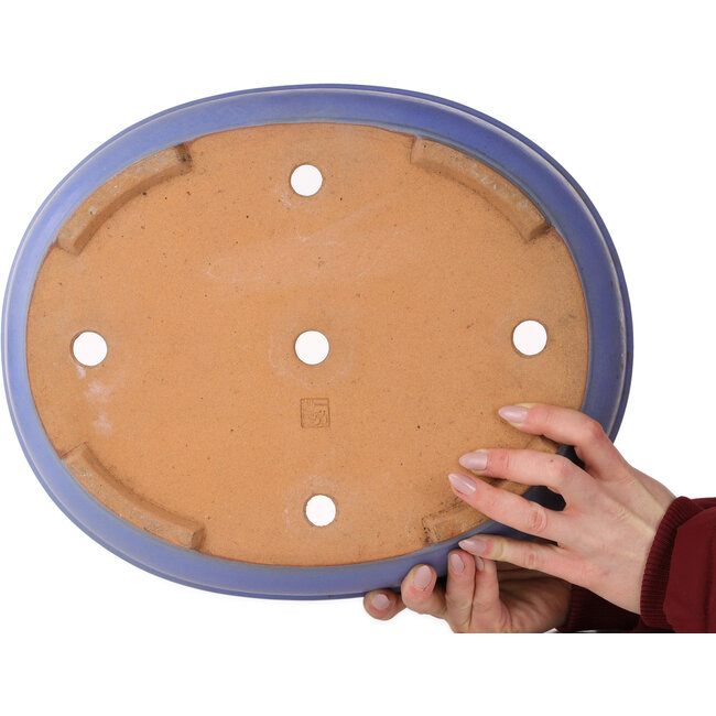 Pot ovale bleu pour bonsaï par Ikkou - 370 x 303 x 88 mm
