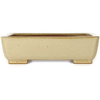 Seizan (Reihou, Kataoka Katsushi, master Seizan kiln) Vaso bonsai rettangolare bianco sporco da 257 mm di Seizan (Reihou, Kataoka Katsushi, master Seizan kiln), Tokoname, Giappone