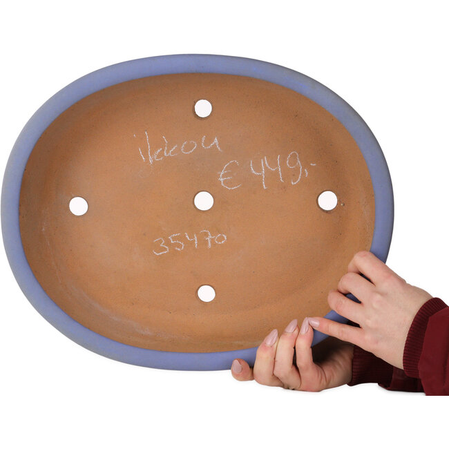 Maceta ovalada azul para bonsái de Ikkou - 370 x 303 x 88 mm