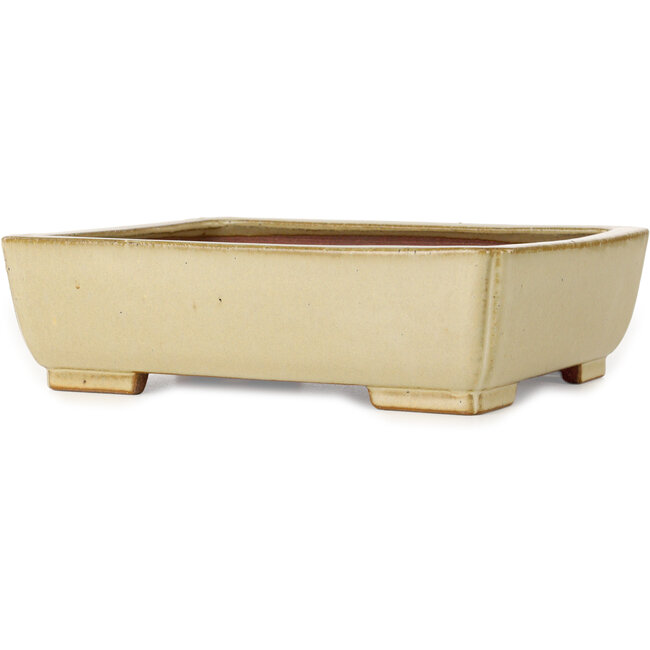 Rectangular off-white bonsai pot by Seizan (Reihou, Kataoka Katsushi, master Seizan kiln) - 257 x 198 x 70 mm