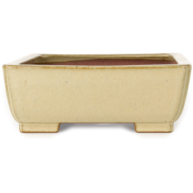 Vaso bonsai rettangolare bianco sporco di Seizan (Reihou, Kataoka Katsushi, forno del maestro Seizan) - 257 x 198 x 70 mm