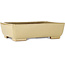 Maceta rectangular para bonsái de color blanquecino de Seizan (Reihou, Kataoka Katsushi, maestro del horno Seizan) - 257 x 198 x 70 mm