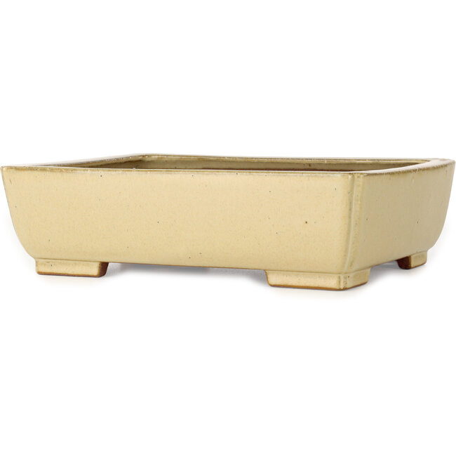 Rectangular off-white bonsai pot by Seizan (Reihou, Kataoka Katsushi, master Seizan kiln) - 257 x 198 x 70 mm