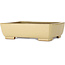 Maceta rectangular para bonsái de color blanquecino de Seizan (Reihou, Kataoka Katsushi, maestro del horno Seizan) - 257 x 198 x 70 mm