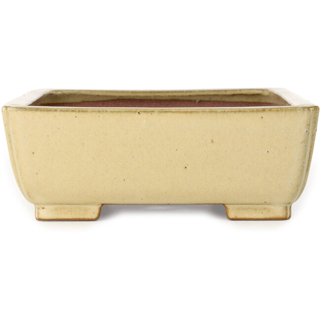 Rectangular off-white bonsai pot by Seizan (Reihou, Kataoka Katsushi, master Seizan kiln) - 257 x 198 x 70 mm