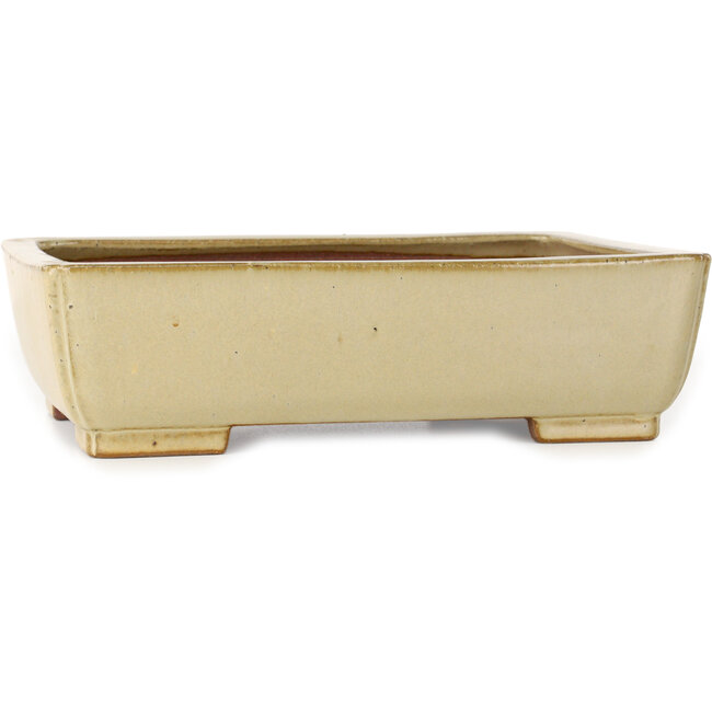 Vaso bonsai rettangolare bianco sporco di Seizan (Reihou, Kataoka Katsushi, forno del maestro Seizan) - 257 x 198 x 70 mm