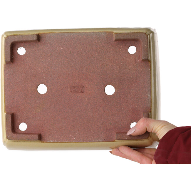 Maceta rectangular para bonsái de color blanquecino de Seizan (Reihou, Kataoka Katsushi, maestro del horno Seizan) - 257 x 198 x 70 mm