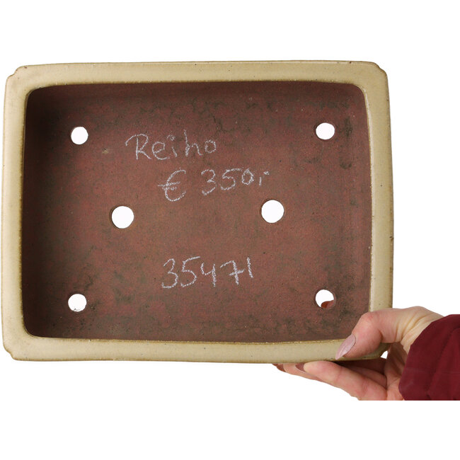 Maceta rectangular para bonsái de color blanquecino de Seizan (Reihou, Kataoka Katsushi, maestro del horno Seizan) - 257 x 198 x 70 mm