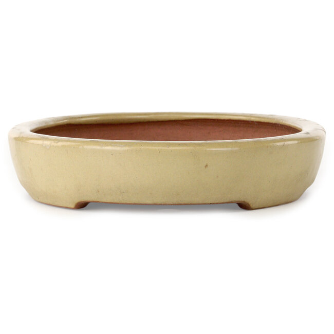 Oval off-white bonsai pot by Seizan (Reihou, Kataoka Katsushi, master Seizan kiln) - 355 x 250 x 52 mm
