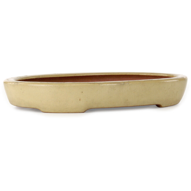 Maceta ovalada para bonsái de color blanquecino de Seizan (Reihou, Kataoka Katsushi, maestro del horno Seizan) - 355 x 250 x 52 mm