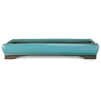  Tosui Pot à bonsaï rectangulaire turquoise de 268 mm de diamètre, de la marque Tosui, Japon.