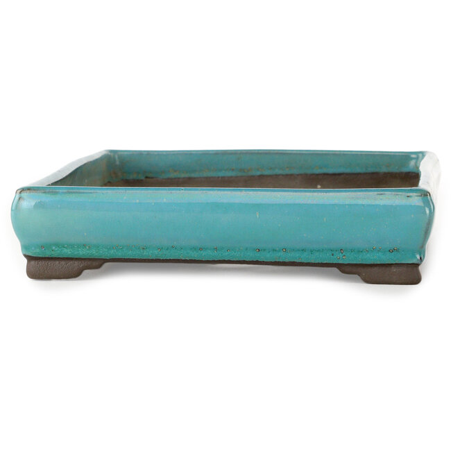 Pot à bonsaï rectangulaire turquoise de Tosui - 268 x 192 x 43 mm
