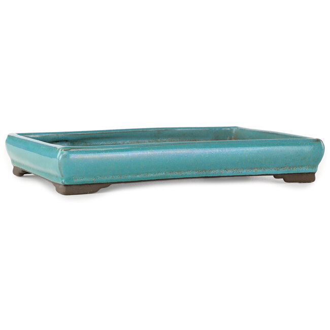 Pot à bonsaï rectangulaire turquoise de Tosui - 268 x 192 x 43 mm