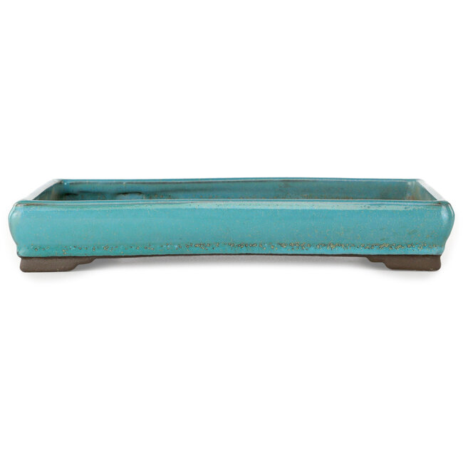 Maceta rectangular turquesa para bonsái de Tosui - 268 x 192 x 43 mm