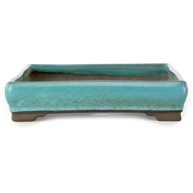 Maceta rectangular turquesa para bonsái de Tosui - 268 x 192 x 43 mm