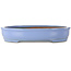 Ovaler blauer Bonsai-Topf von Itouen – 355 x 280 x 67 mm
