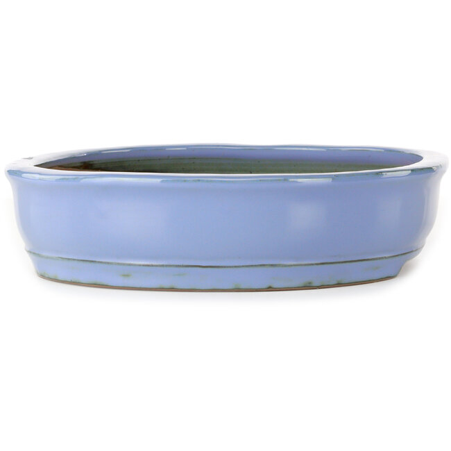 Oval blue bonsai pot by Itouen - 355 x 280 x 67 mm