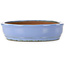 Ovale blauwe bonsaipot van Itouen - 355 x 280 x 67 mm