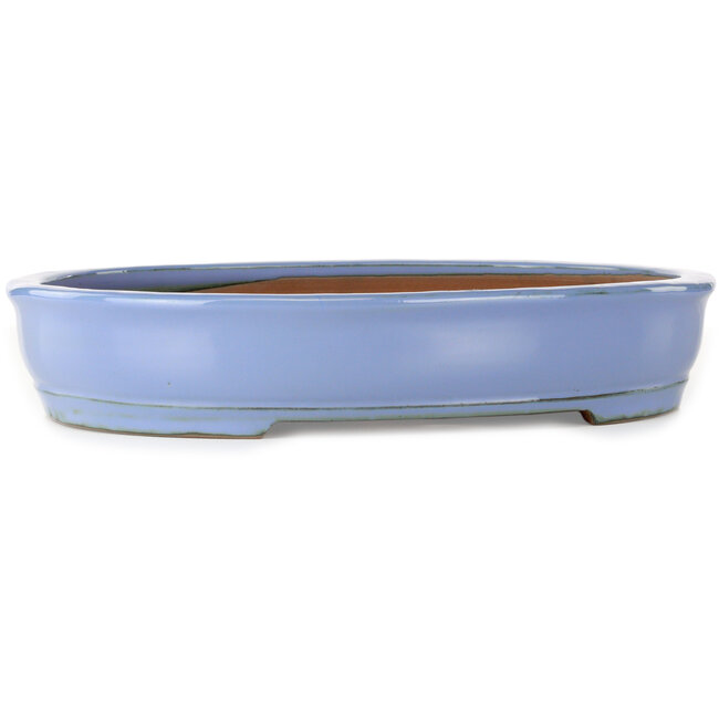 Oval blue bonsai pot by Itouen - 355 x 280 x 67 mm