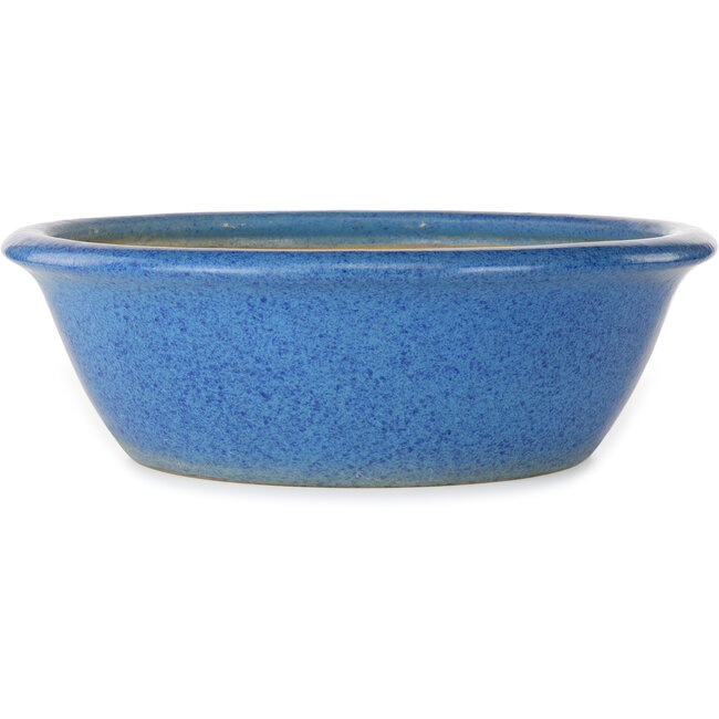 Ronde blauwe bonsaipot van Seizan (Reihou, Kataoka Katsushi, meester Seizan oven) - 420 x 420 x 135 mm