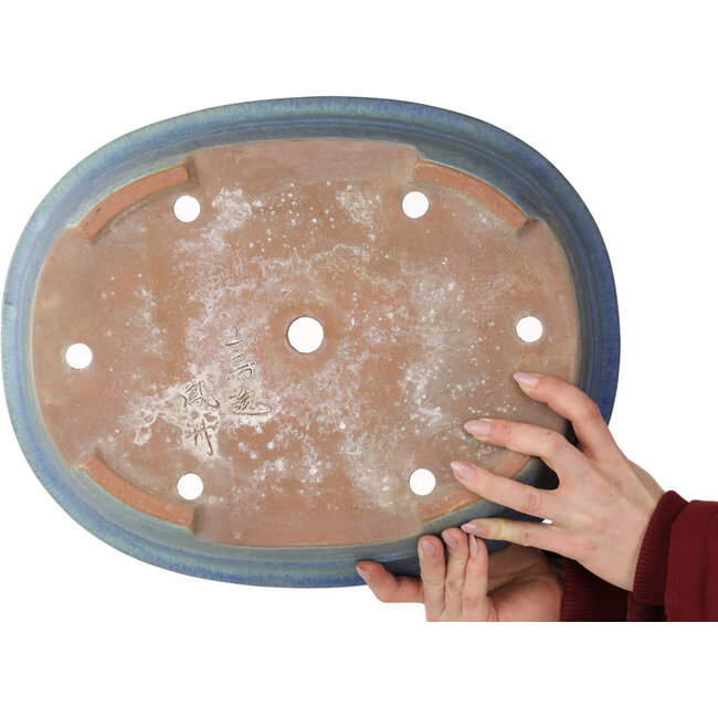 Pot ovale bleu pour bonsaï de Yamafusa - 410 x 325 x 90 mm