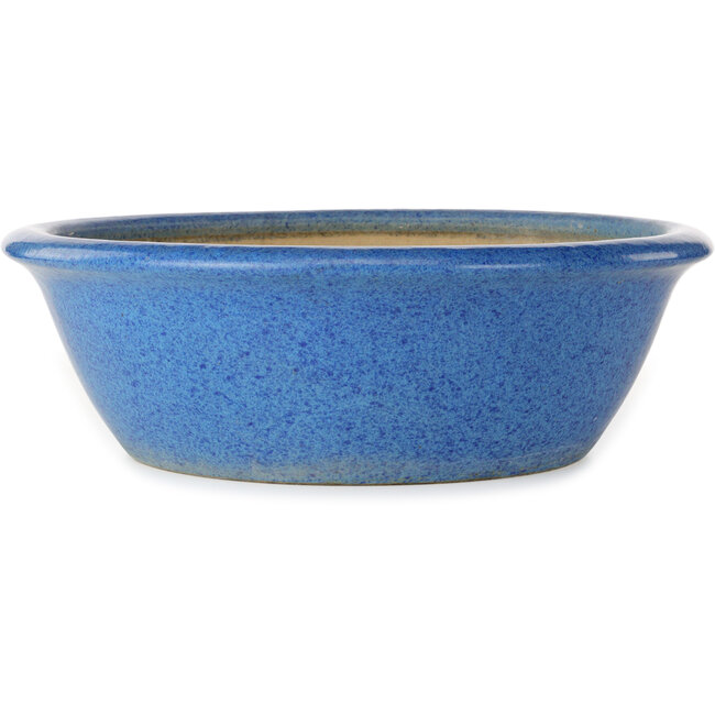 Maceta redonda para bonsái azul de Seizan (Reihou, Kataoka Katsushi, maestro del horno Seizan) - 420 x 420 x 135 mm