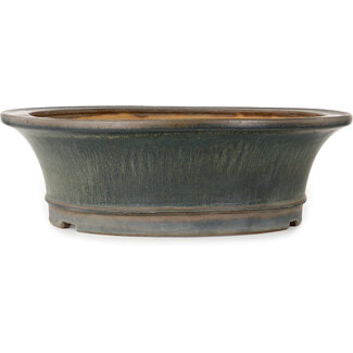  Hattori Tomoyuki Maceta redonda azul para bonsái de 423 mm de Hattori, Tokoname, Japón