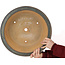 Pot à bonsaï rond bleu de Hattori - 423 x 423 x 137 mm