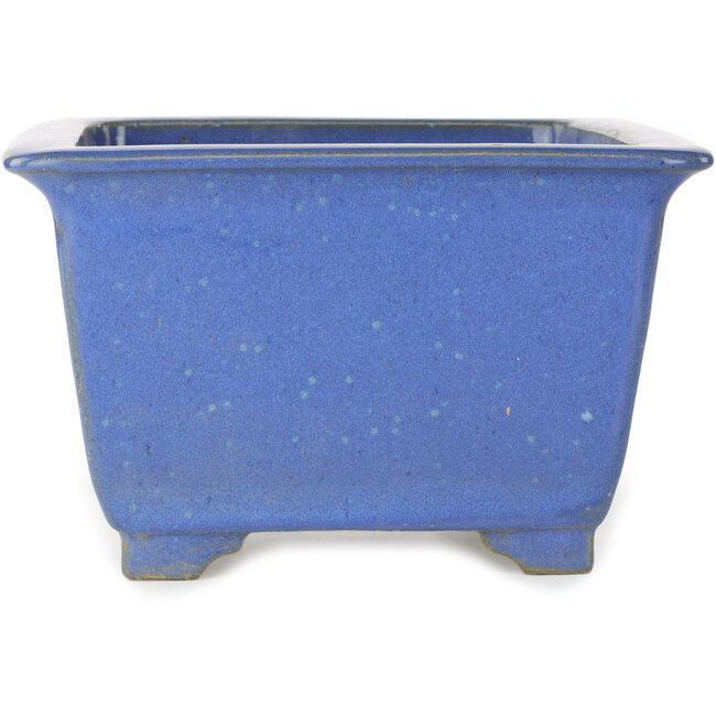 Maceta cuadrada para bonsái azul de Terahata Satomi Mazan - 225 x 225 x 140 mm