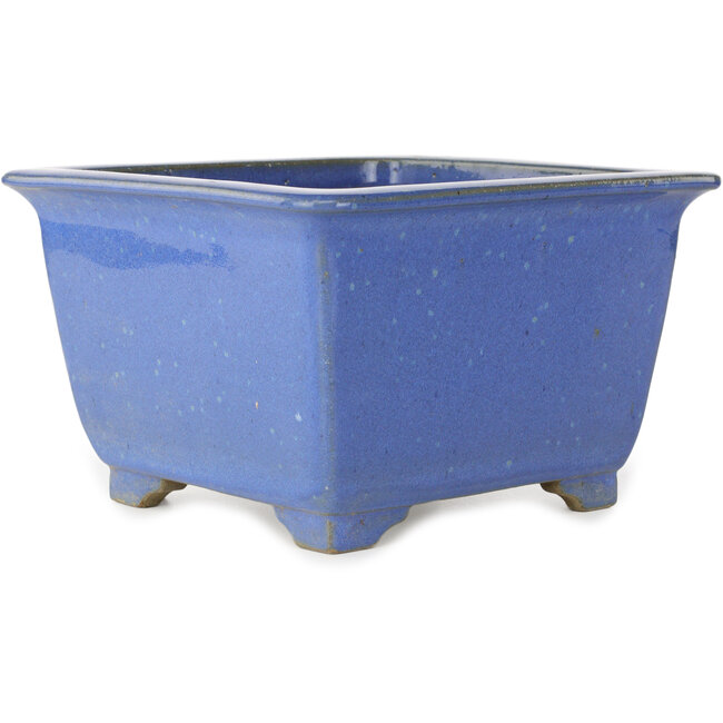 Maceta cuadrada para bonsái azul de Terahata Satomi Mazan - 225 x 225 x 140 mm