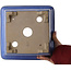 Quadratischer blauer Bonsaitopf von Terahata Satomi Mazan – 225 x 225 x 140 mm