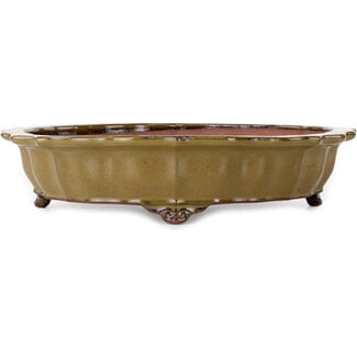 Seizan (Reihou, Kataoka Katsushi, master Seizan kiln) Vaso bonsai giallo ocra da 325 mm di Seizan (Reihou, Kataoka Katsushi, master Seizan kiln), Tokoname, Giappone