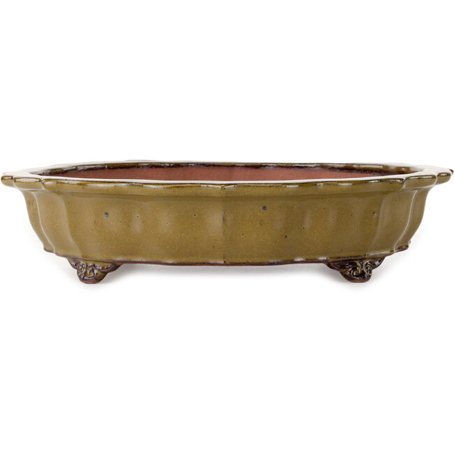 Lotus ochre yellow bonsai pot by Seizan (Reihou, Kataoka Katsushi, master Seizan kiln) - 325 x 325 x 75 mm