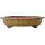 Lotus ochre yellow bonsai pot by Seizan (Reihou, Kataoka Katsushi, master Seizan kiln) - 325 x 325 x 75 mm