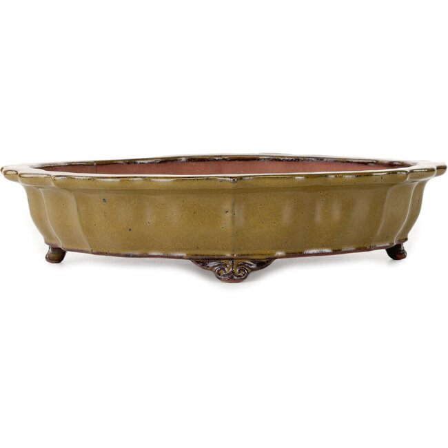 Vaso bonsai giallo ocra di loto di Seizan (Reihou, Kataoka Katsushi, forno del maestro Seizan) - 325 x 325 x 75 mm