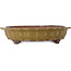 Lotus ochre yellow bonsai pot by Seizan (Reihou, Kataoka Katsushi, master Seizan kiln) - 325 x 325 x 75 mm