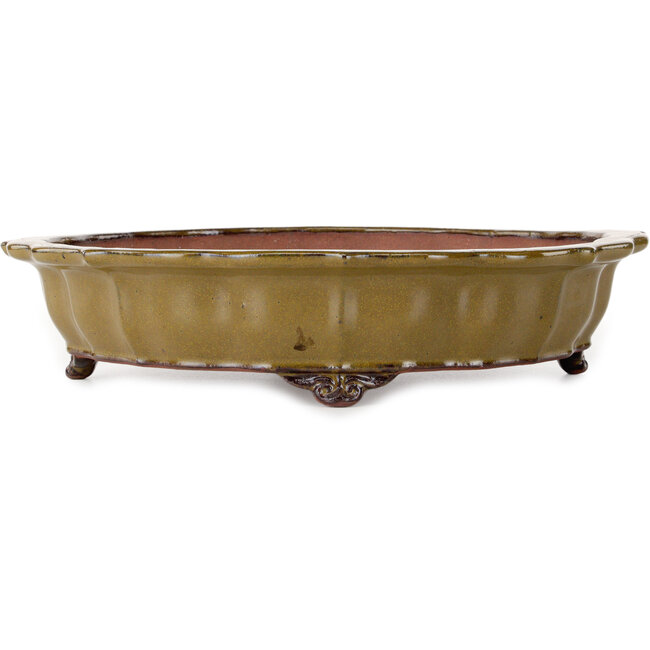 Vaso bonsai giallo ocra di loto di Seizan (Reihou, Kataoka Katsushi, forno del maestro Seizan) - 325 x 325 x 75 mm