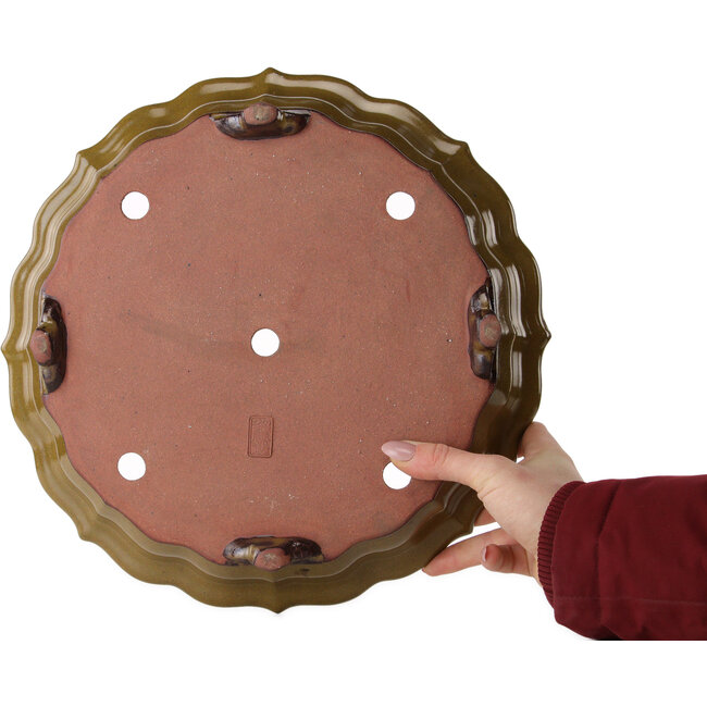 Lotus okergele bonsaipot van Seizan (Reihou, Kataoka Katsushi, meester Seizan oven) - 325 x 325 x 75 mm