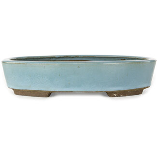 Taizan Pot à bonsaï ovale bleu clair de 325 mm par Taizan, Tokoname, Japon