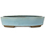 Maceta ovalada para bonsái azul claro de Taizan - 325 x 250 x 72 mm