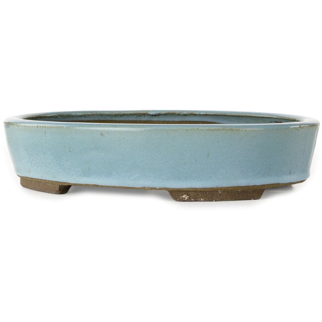 Vaso bonsai ovale azzurro chiaro di Taizan - 325 x 250 x 72 mm