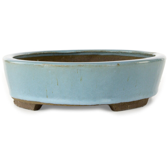 Pot à bonsaï ovale bleu clair de Taizan - 325 x 250 x 72 mm